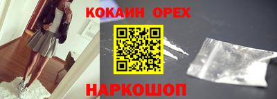 крисы Можга
