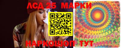 крисы Можга