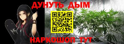 крисы Можга