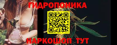 сатива Можайск