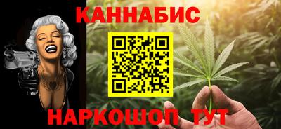 крисы Можга