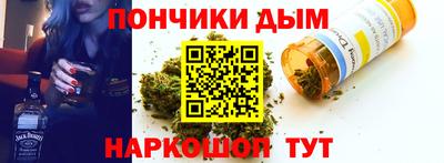 крисы Можга