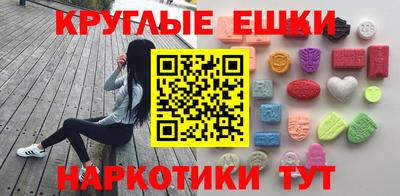 крисы Можга