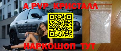 крисы Можга