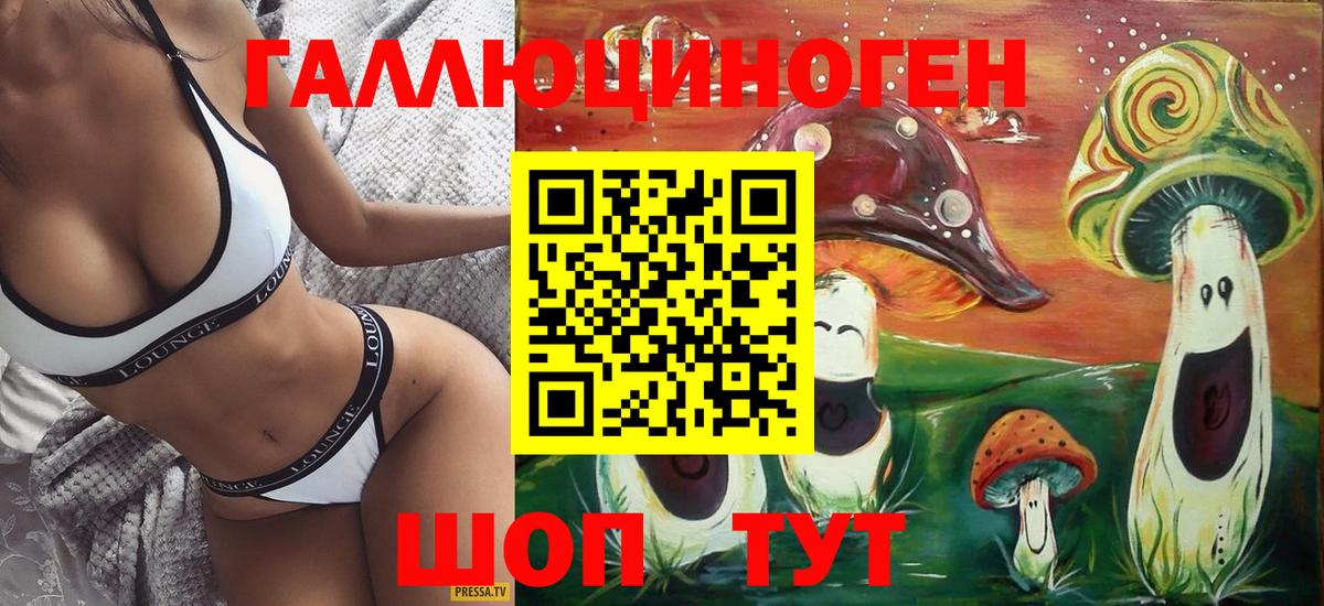 Псилоцибиновые грибы прущие грибы Гуково